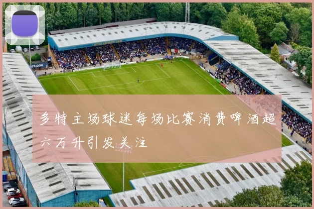 多特主场球迷每场比赛消费啤酒超六万升引发关注